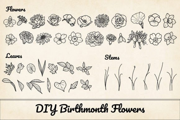 200 Birthflower Element Bundle PNG SVG for Graphics and Decorative Elements